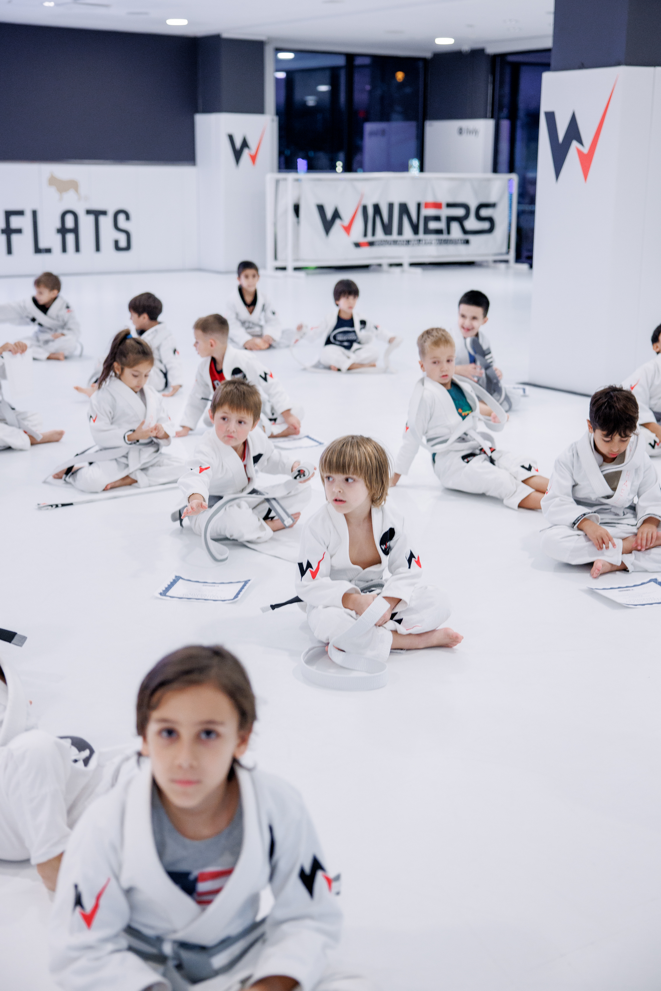 Understanding the Belt System in Brazilian Jiu-Jitsu