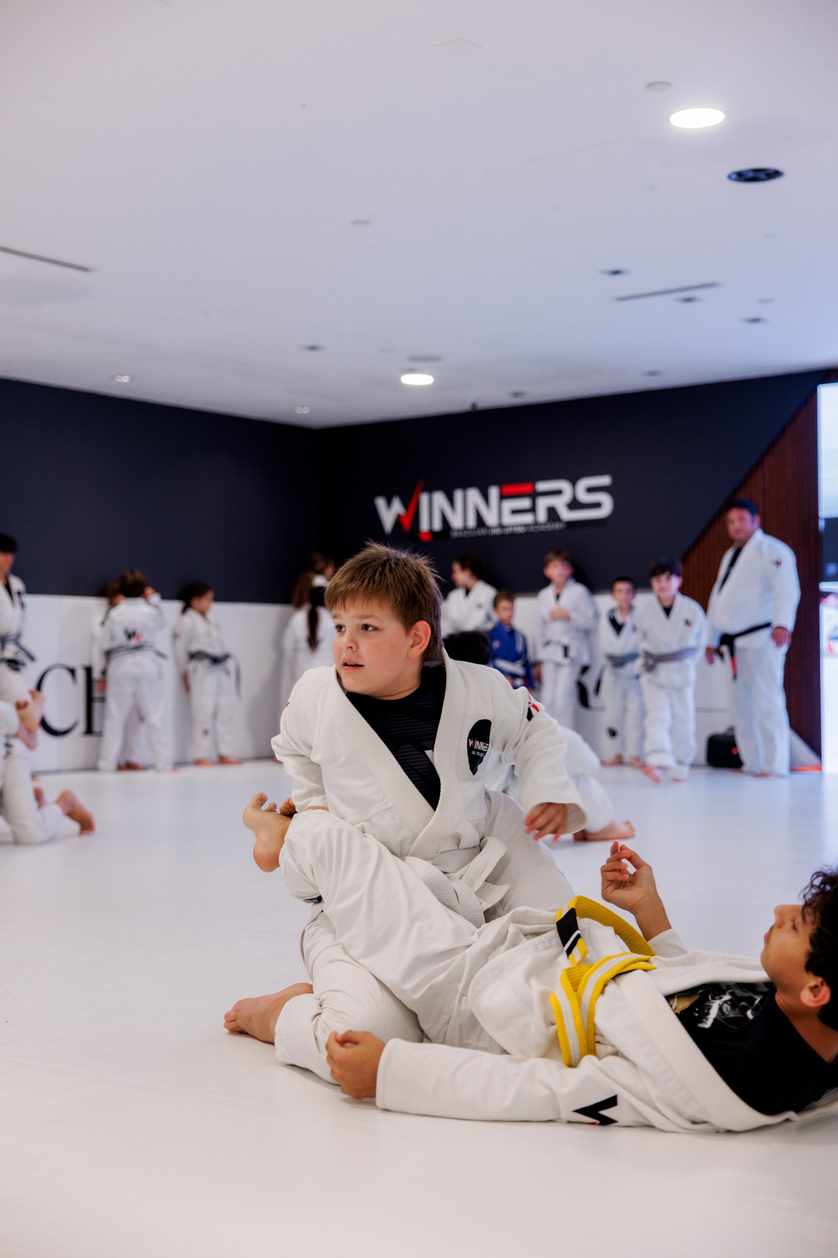 Why Brazilian Jiu-Jitsu Became Miami's Defining Martial Art